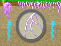 Hydretain ES PlusGranular OC