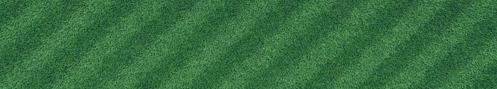 Lawn background 