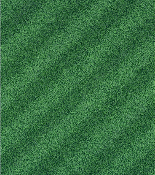 LESCO Prosecutor Pro Non Selective Liquid Herbicide 2.5 gal.