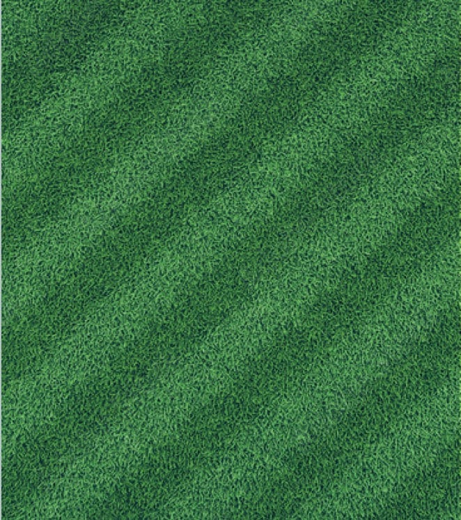 Dark green grass