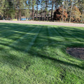 Professional DIY Lawn Care Fertilizer Program Subscription