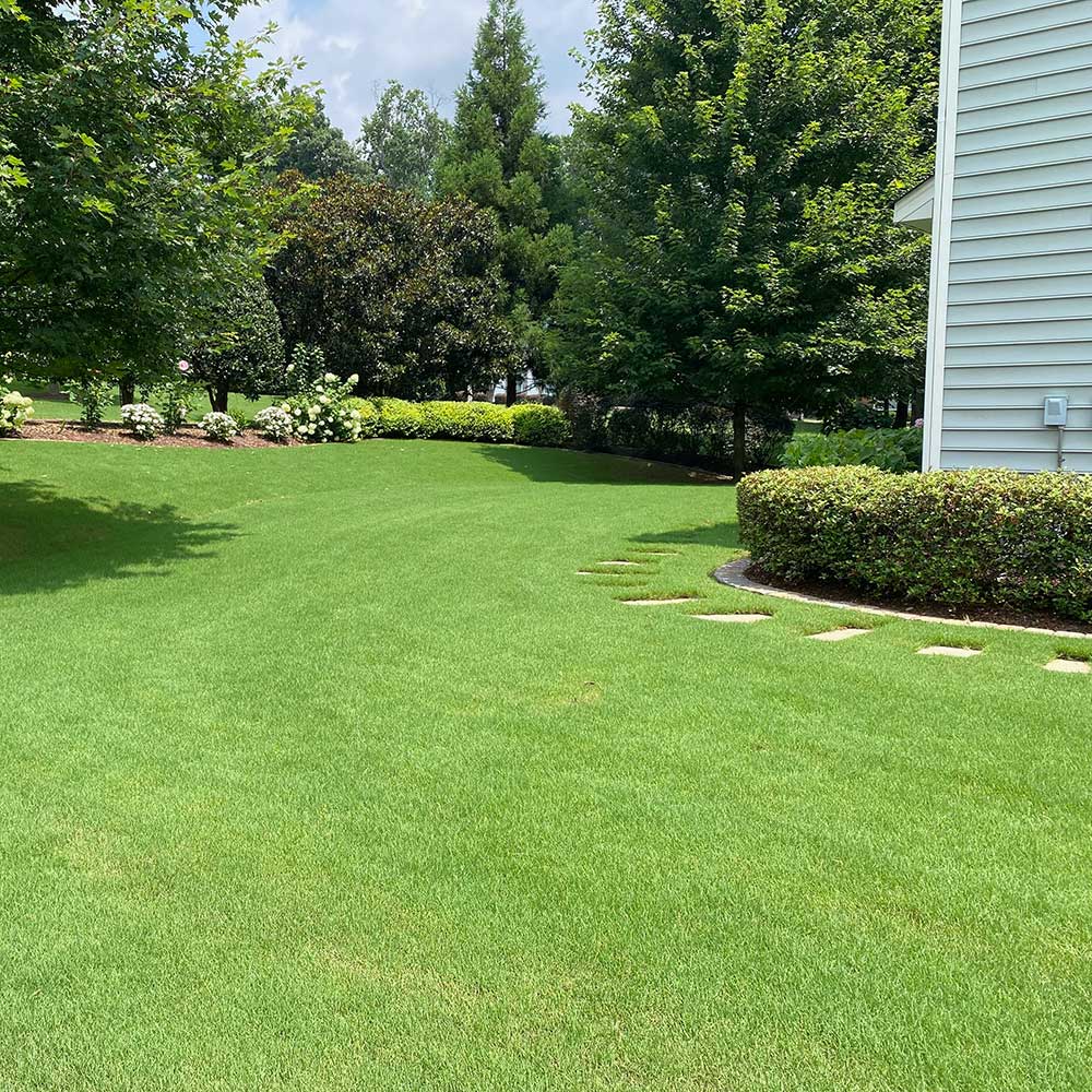 Professional DIY Lawn Care Fertilizer Program Subscription