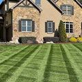 Professional DIY Lawn Care Fertilizer Program Subscription