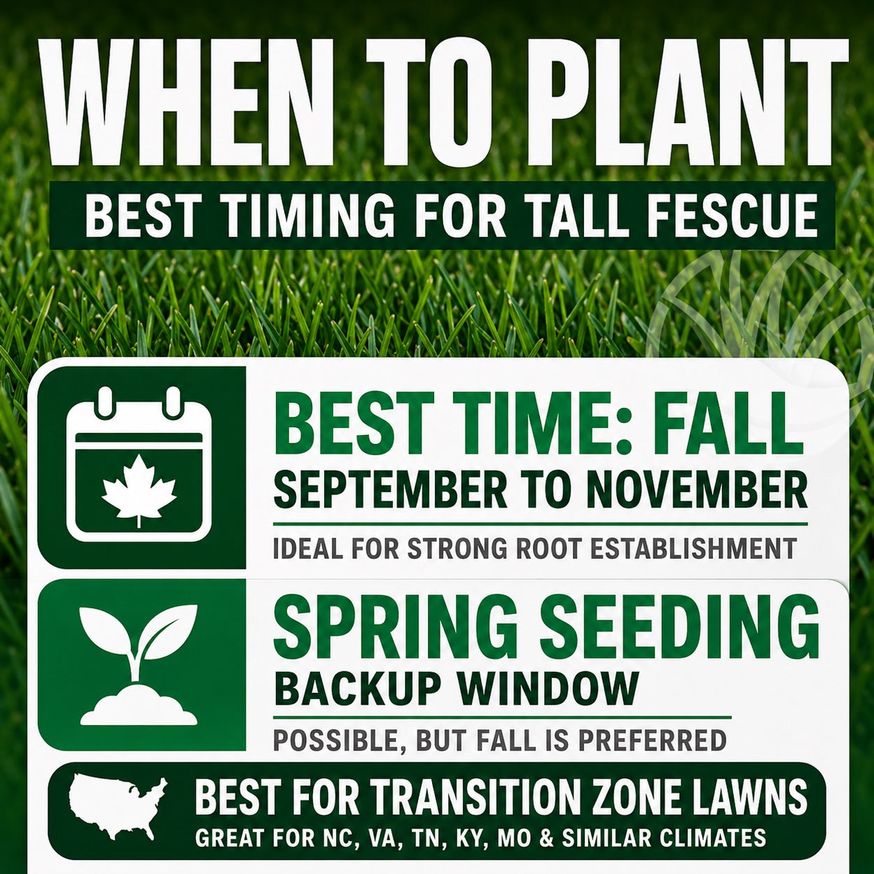 best time to plant fescue grass seed Lesco Tall Fescue Select Blend Grass Seed