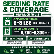 Lesco Tall Fescue Select Grass Seed