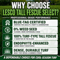 Lesco Tall Fescue Select Blend Grass Seed
