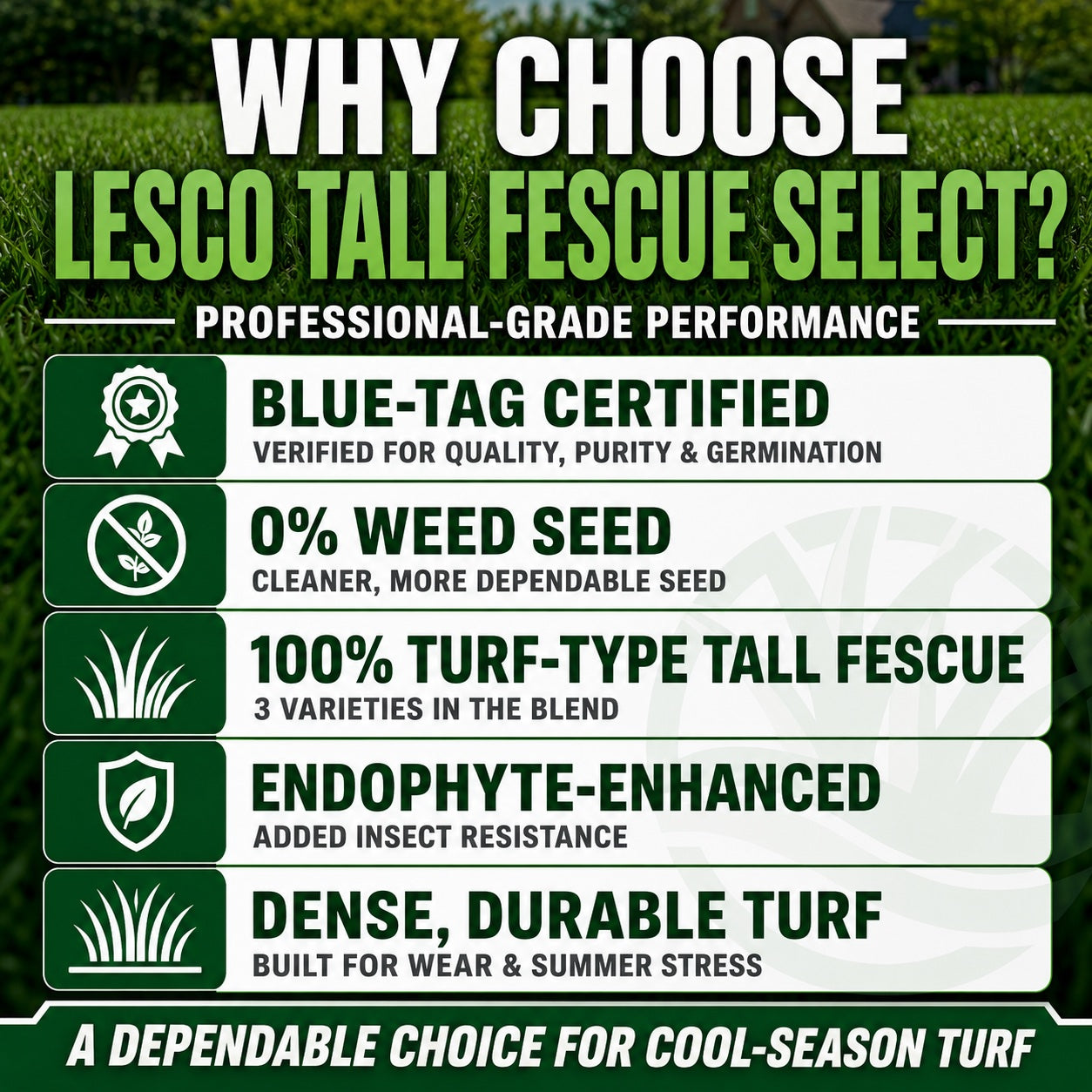 Lesco Tall Fescue Select Blend Grass Seed