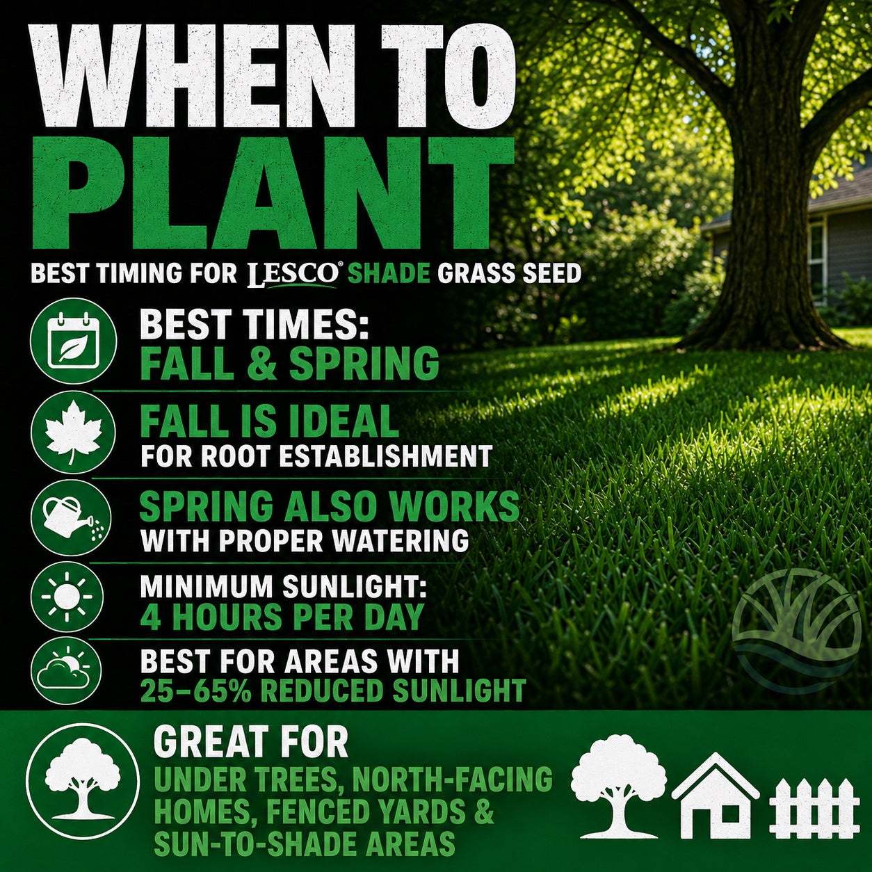 Lesco Shade Grass Seed