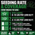 Lesco Shade Grass Seed