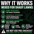 Lesco Shade Grass Seed