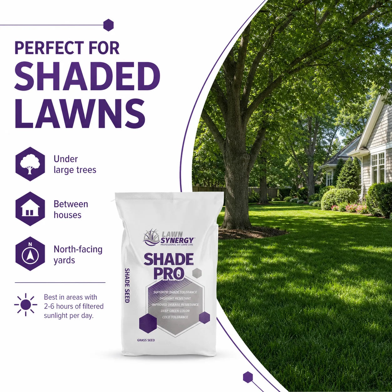 Shade Pro Grass Seed