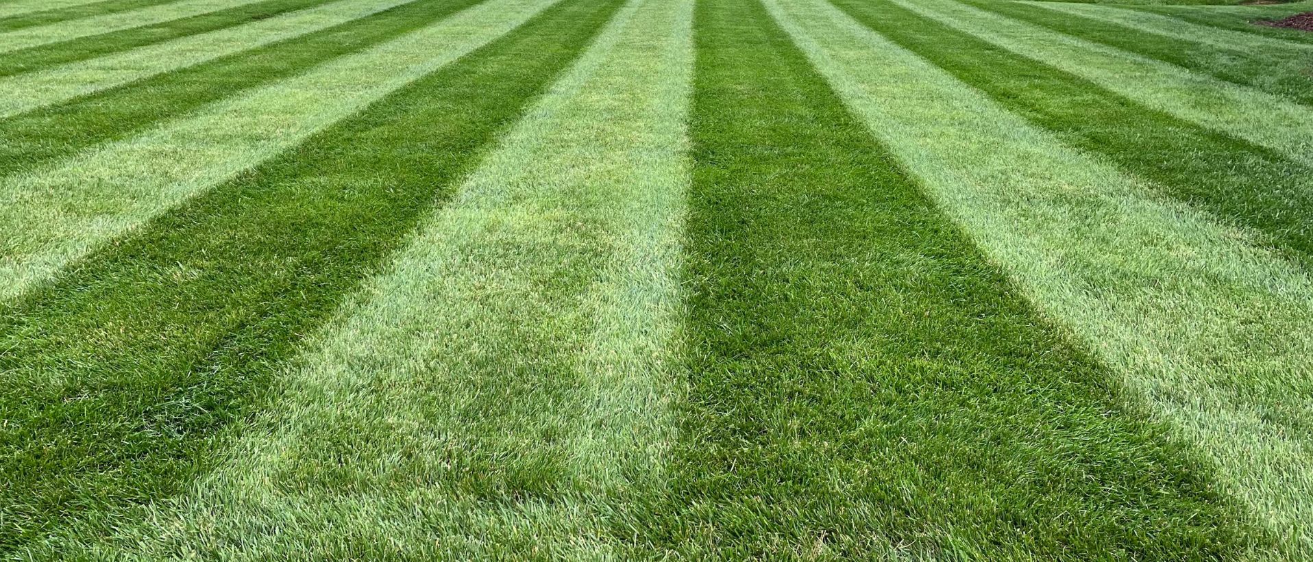 Soil Conditioner & Soil Amendments