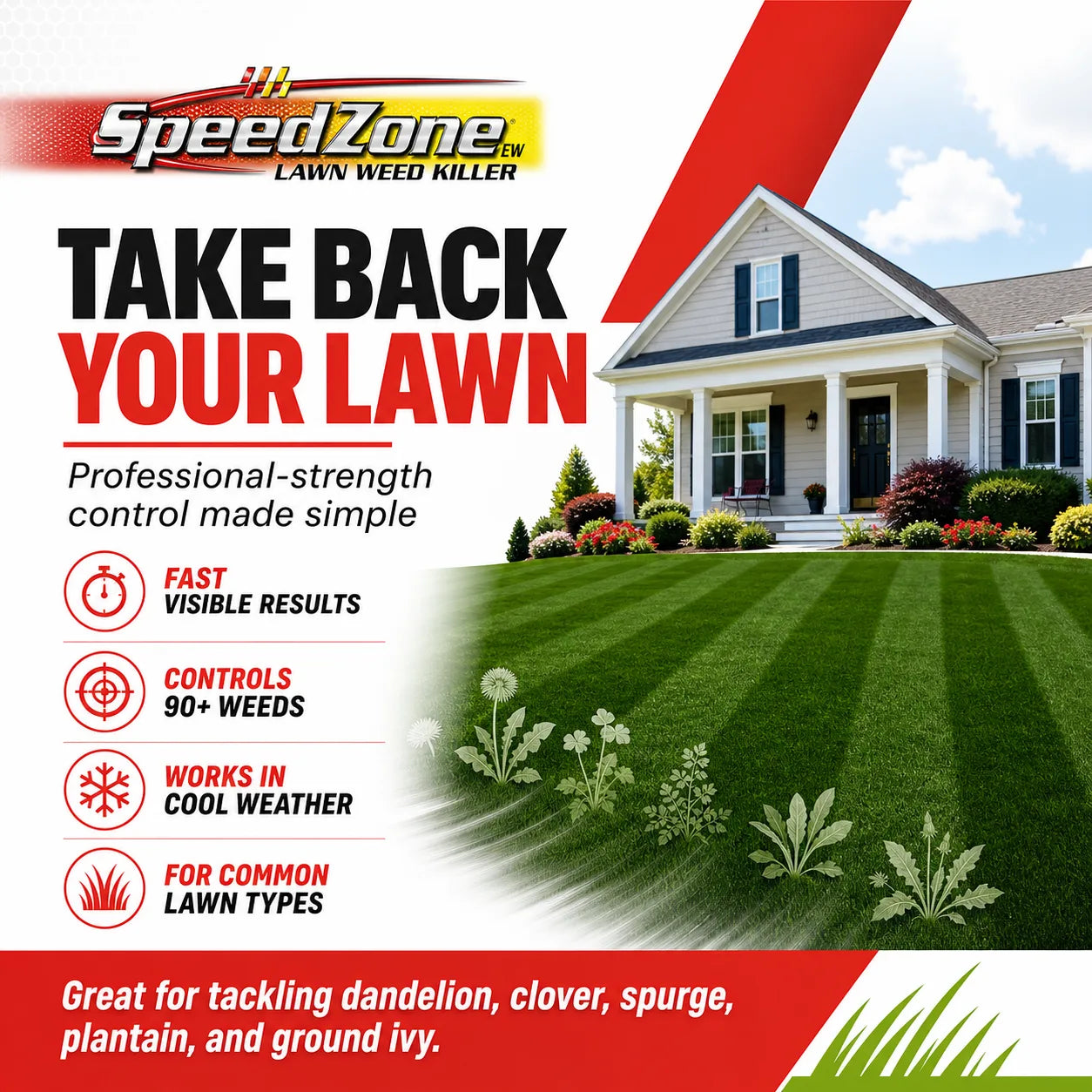 SpeedZone Weed Killer for Lawns - Fast Broadleaf Weed Control