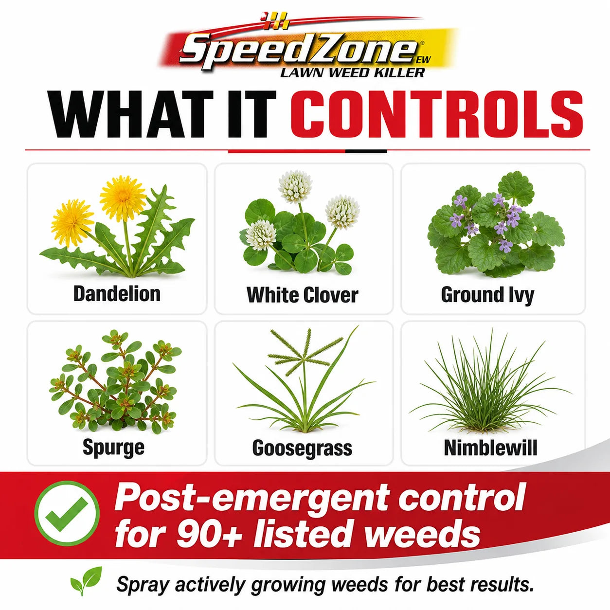 SpeedZone Weed Killer for Lawns - Fast Broadleaf Weed Control