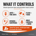 talstar - what insects it controls