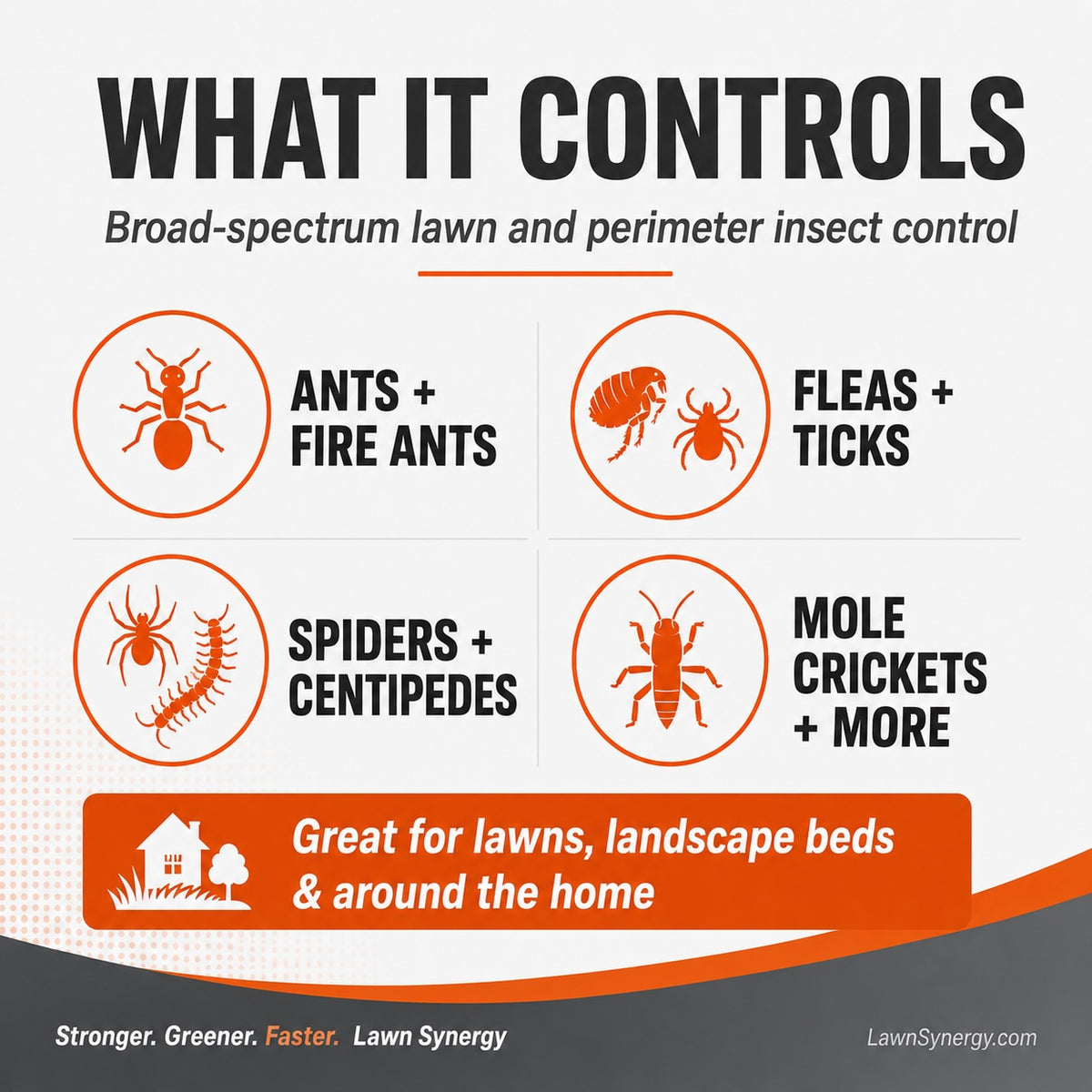 Talstar PL Granular Insecticide - Lawn & Perimeter Pest Control
