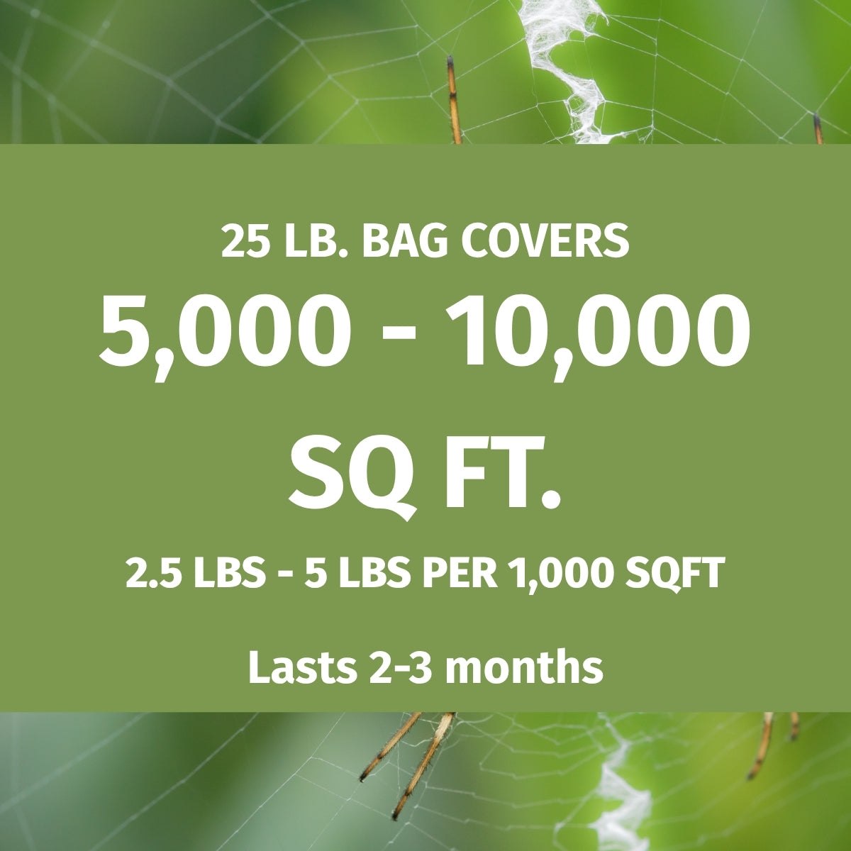 Green banner with text about 25 lb. bag covers for pest control, set against a spider web background.