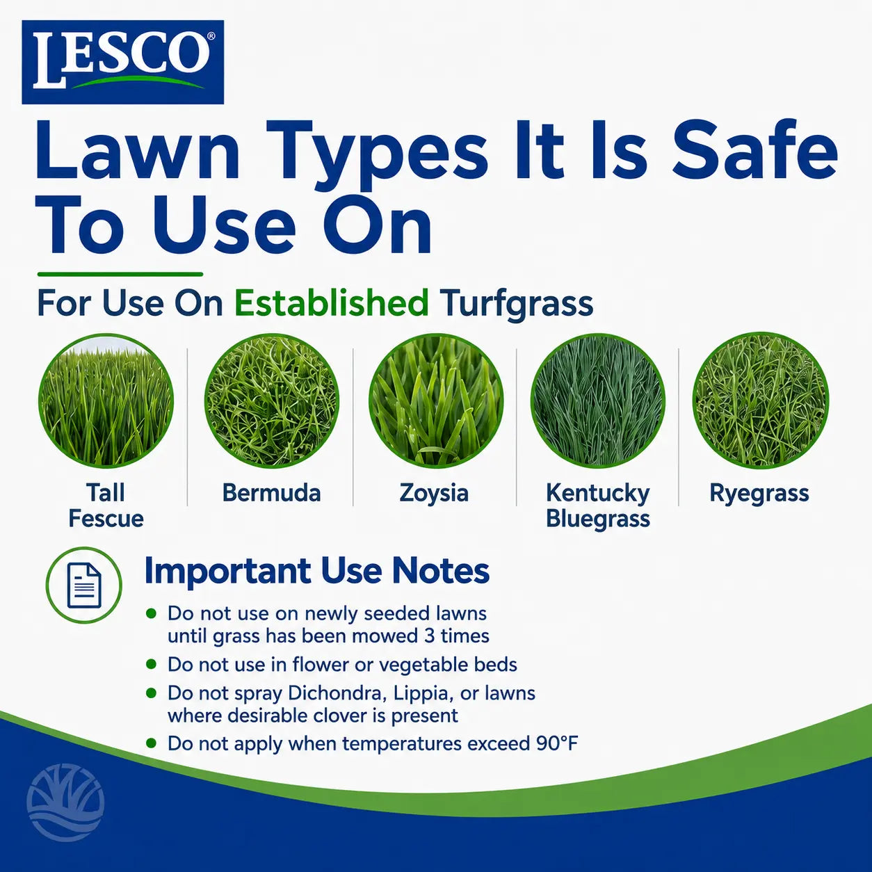 LESCO Three-Way Selective Spot Weeder with Foaming Action