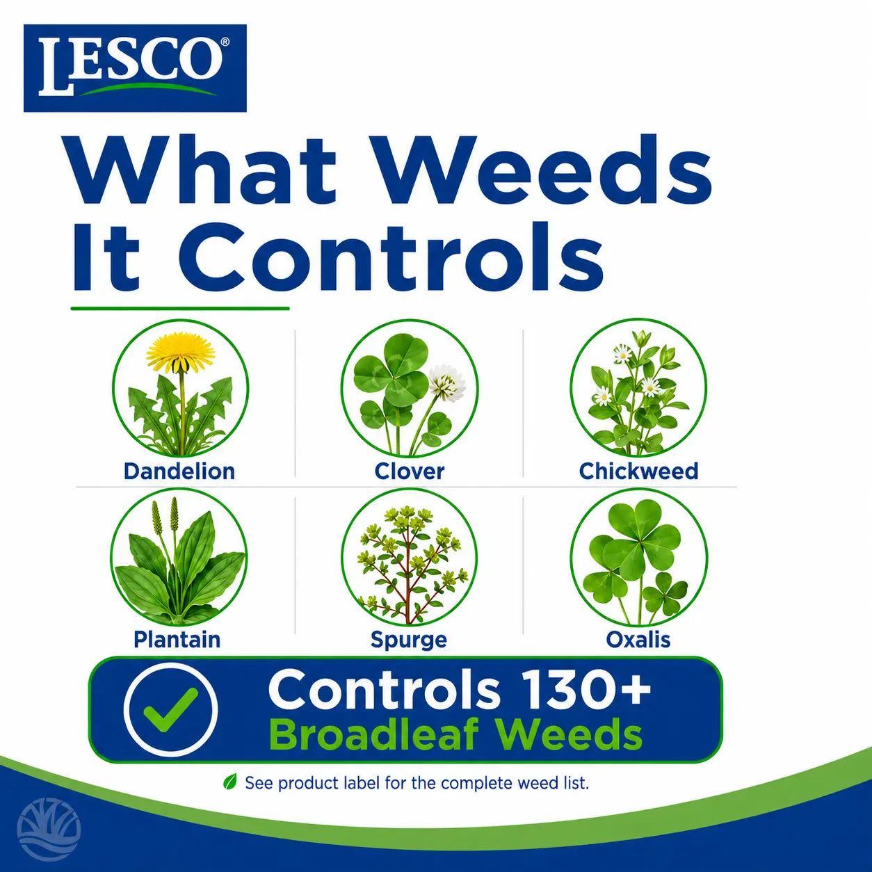 LESCO Three-Way Selective Spot Weeder with Foaming Action