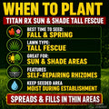Informational graphic about planting Titan RX Sun & Shade Tall Fescue with text and icons on a grass background.