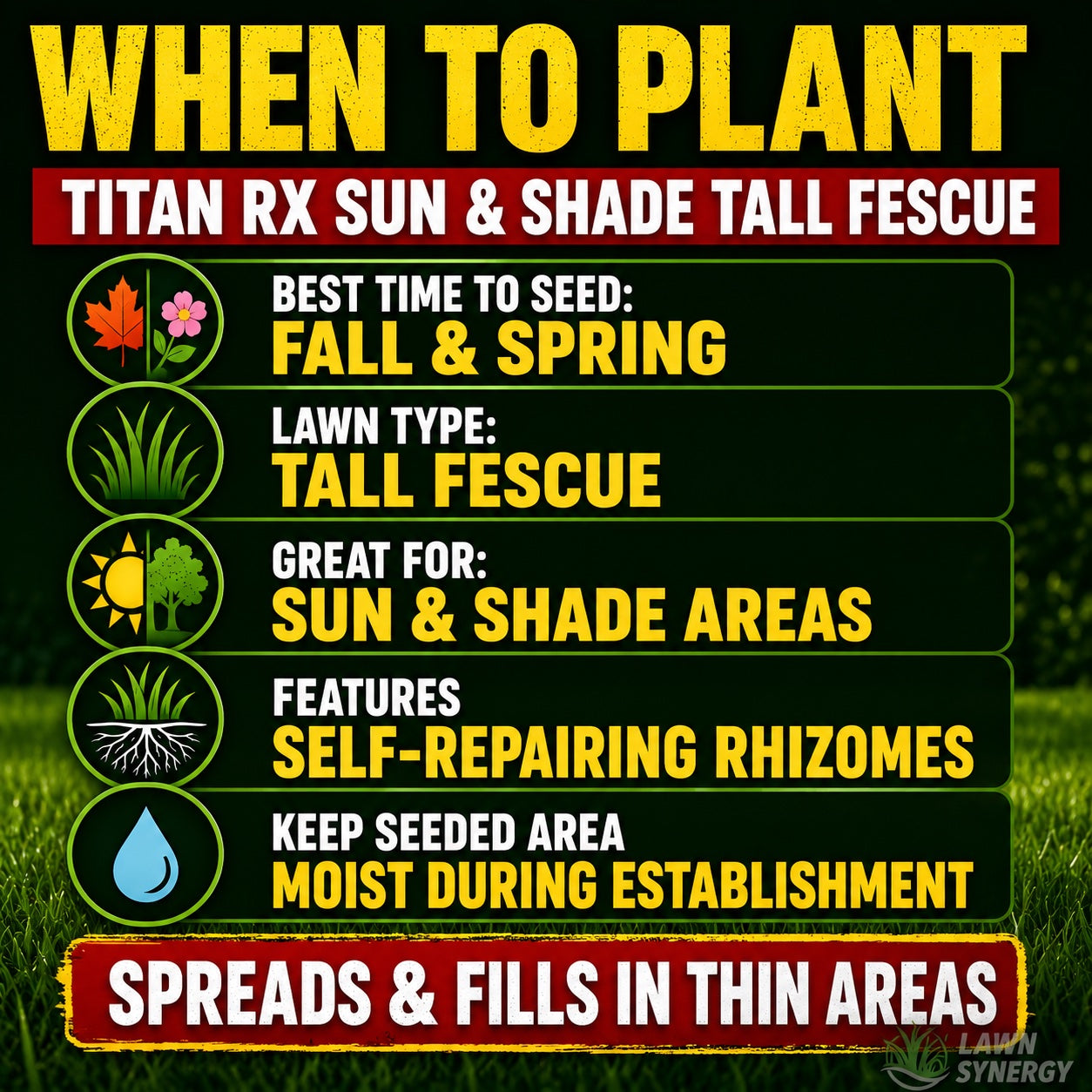 Informational graphic about planting Titan RX Sun & Shade Tall Fescue with text and icons on a grass background.