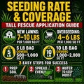 Seeding rate and coverage guide for tall fescue application on a green background with text and icons.