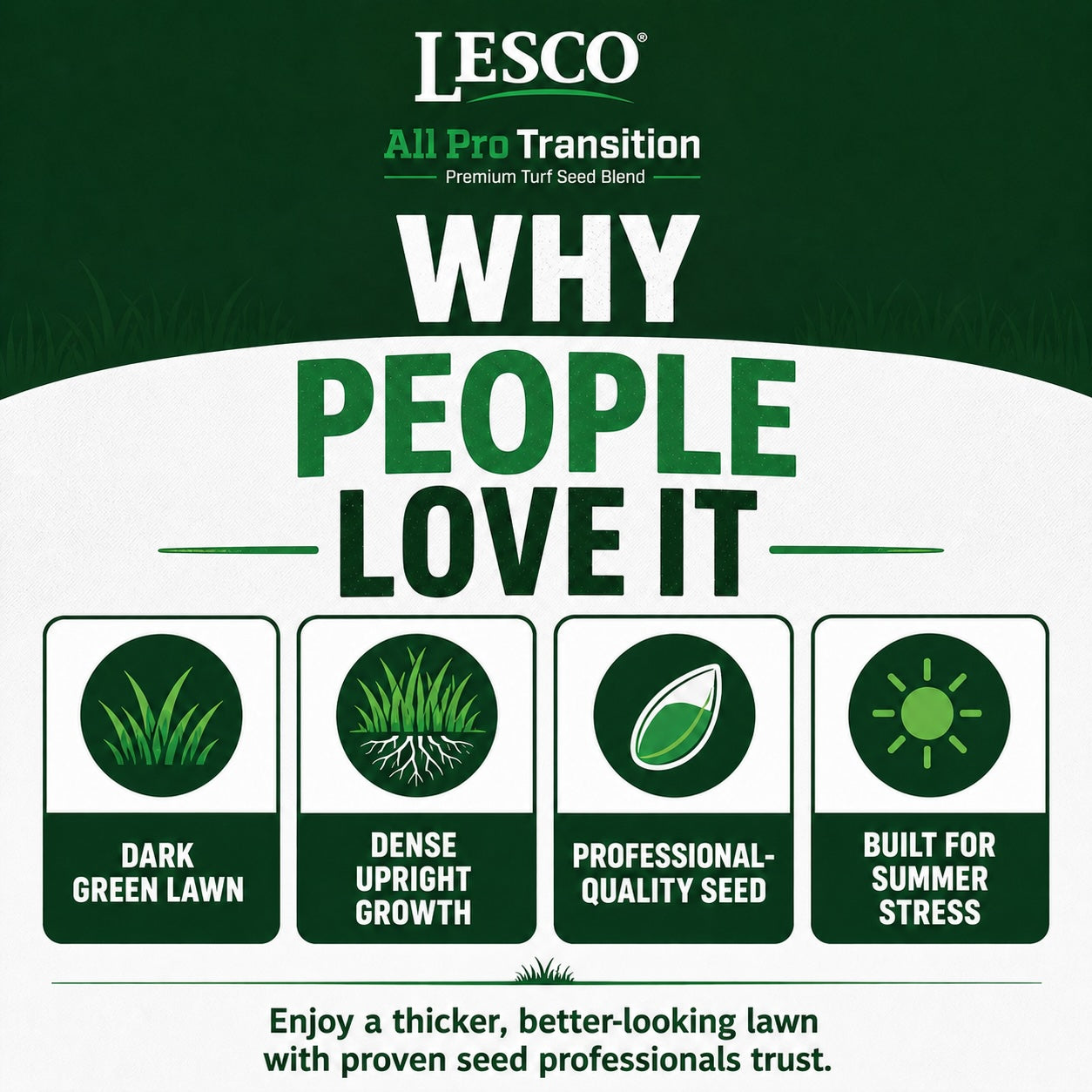 Lesco All Pro Transition Tall Fescue Grass Seed