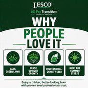 Lesco All Pro Transition Tall Fescue Grass Seed