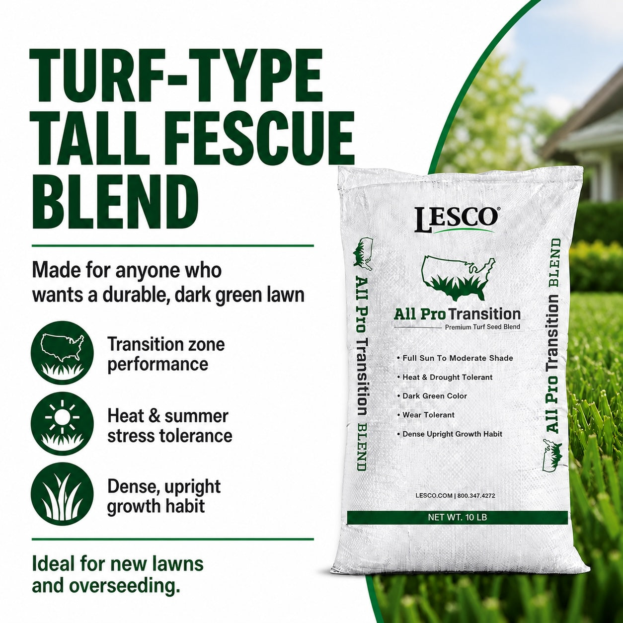 Lesco All Pro Transition Tall Fescue Grass Seed