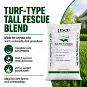 Lesco All Pro Transition Tall Fescue Grass Seed