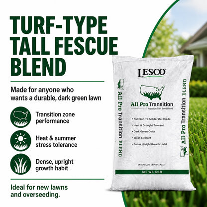 Lesco All Pro Transition Tall Fescue Grass Seed