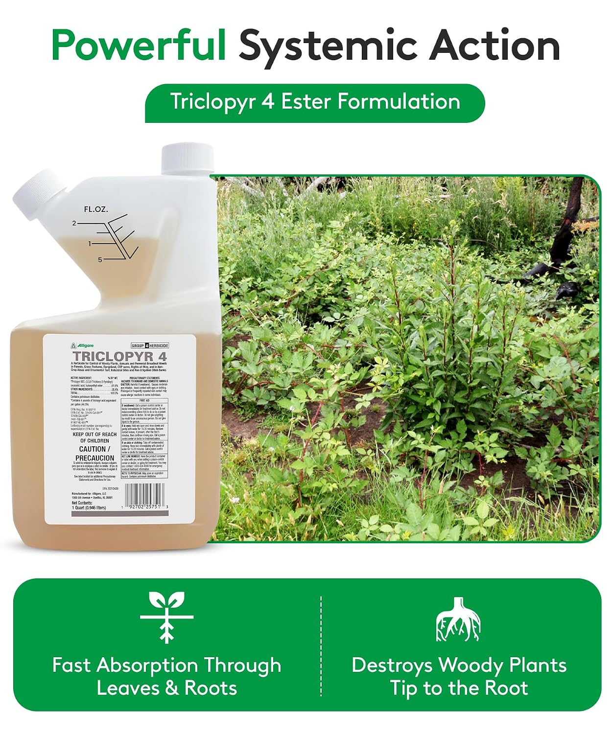 Triclopyr 4 Herbicide
