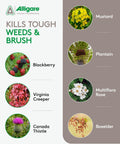 Triclopyr 4 Herbicide