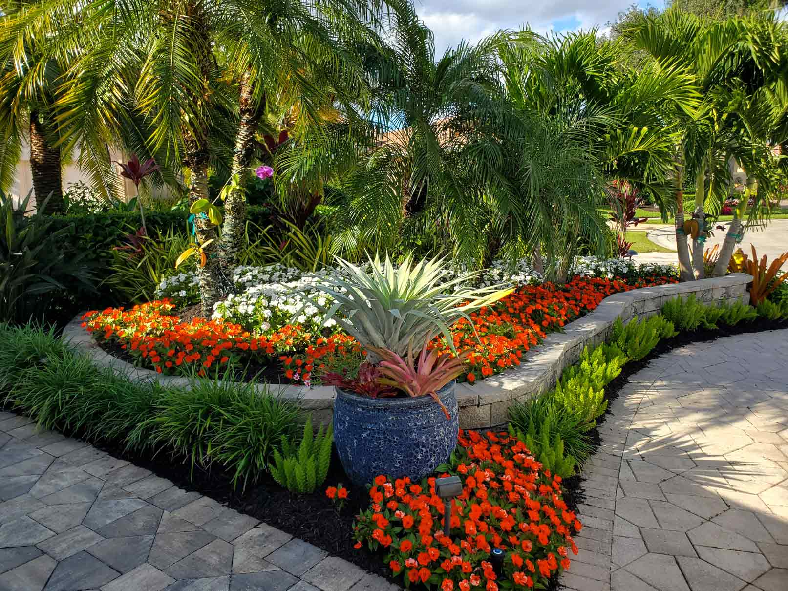 tropical plant fertilizer and palm trees