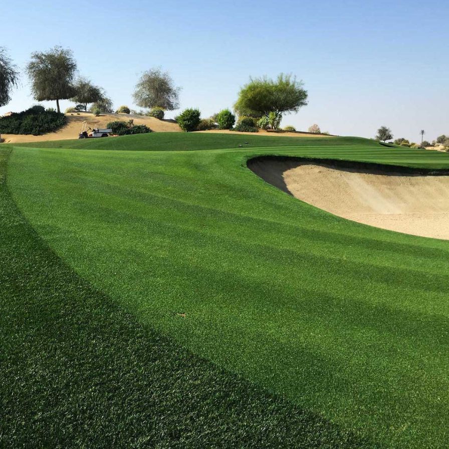 A wide view of a golf course landscape with bright green manicured grass, a sand bunker, trees, and a clear blue sky.