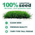 Envy Tall Fescue Grass Seed Blend