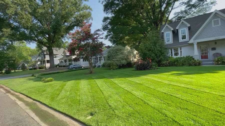 Professional DIY Lawn Care Fertilizer Program Subscription
